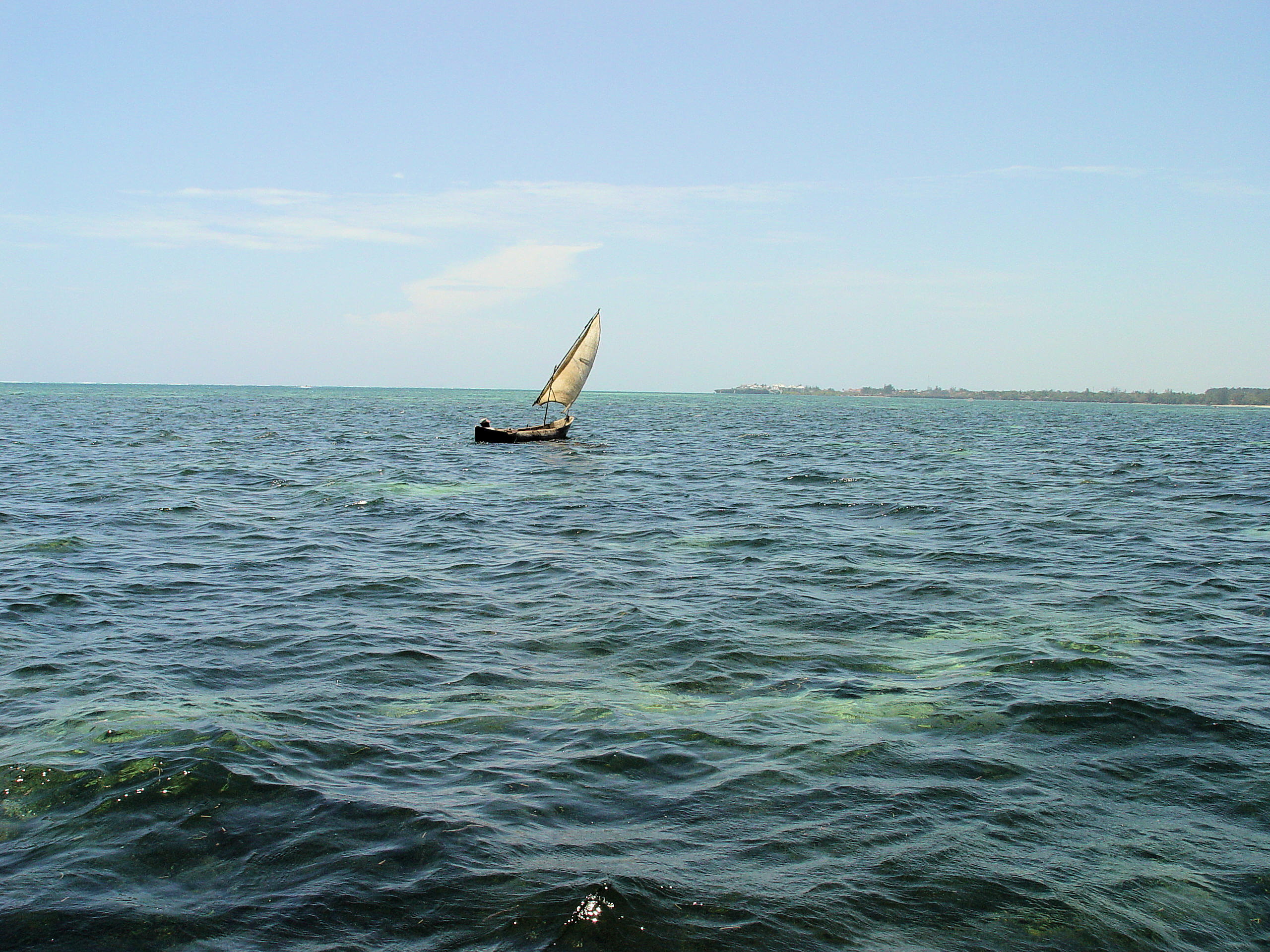 Dhow on Indian Ocean