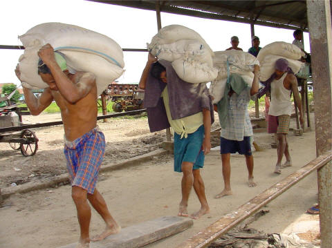 Workers unloading grain from ships- Click For Full-Size Photo