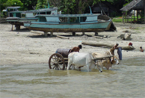 Village on Ayeryarwady River. - CLICK FOR FULL-SIZE PHOTO