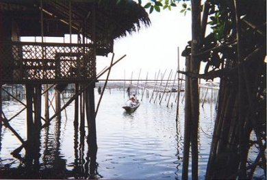 Children off to school - Pangasinan provinence