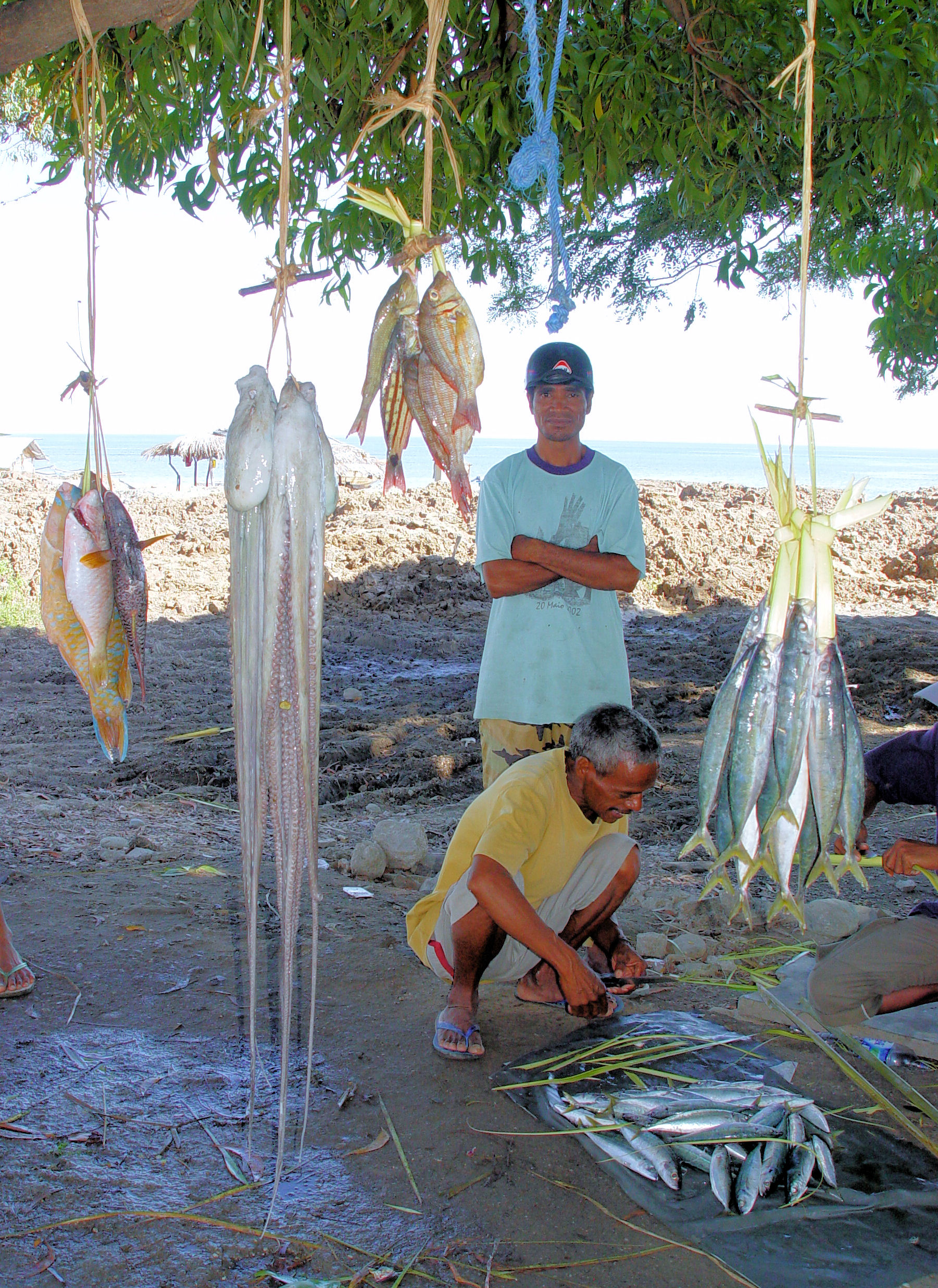 CLICK HERE - Fish vendors outside hotel