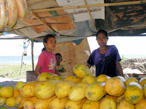 CLICK HERE -  Dili papaya vendors