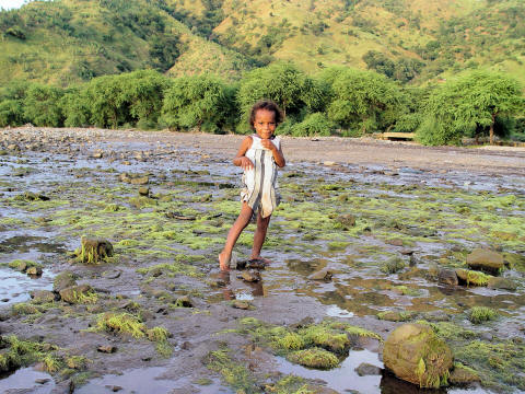 CLICK HERE - Girl on tidal flats